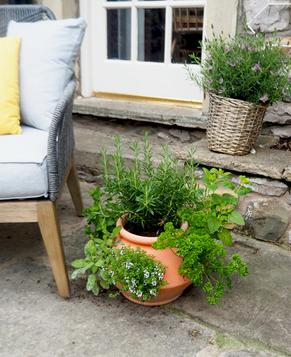 Midlifechic patio