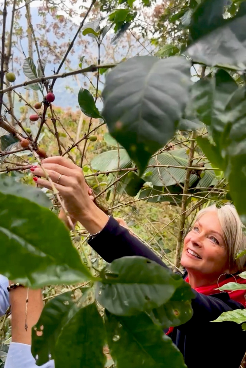 Nikki Garnett, Midlifechic. Colombia coffee plantation